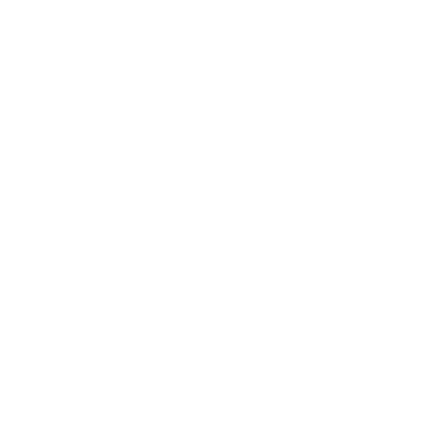 P-Worx Logo
